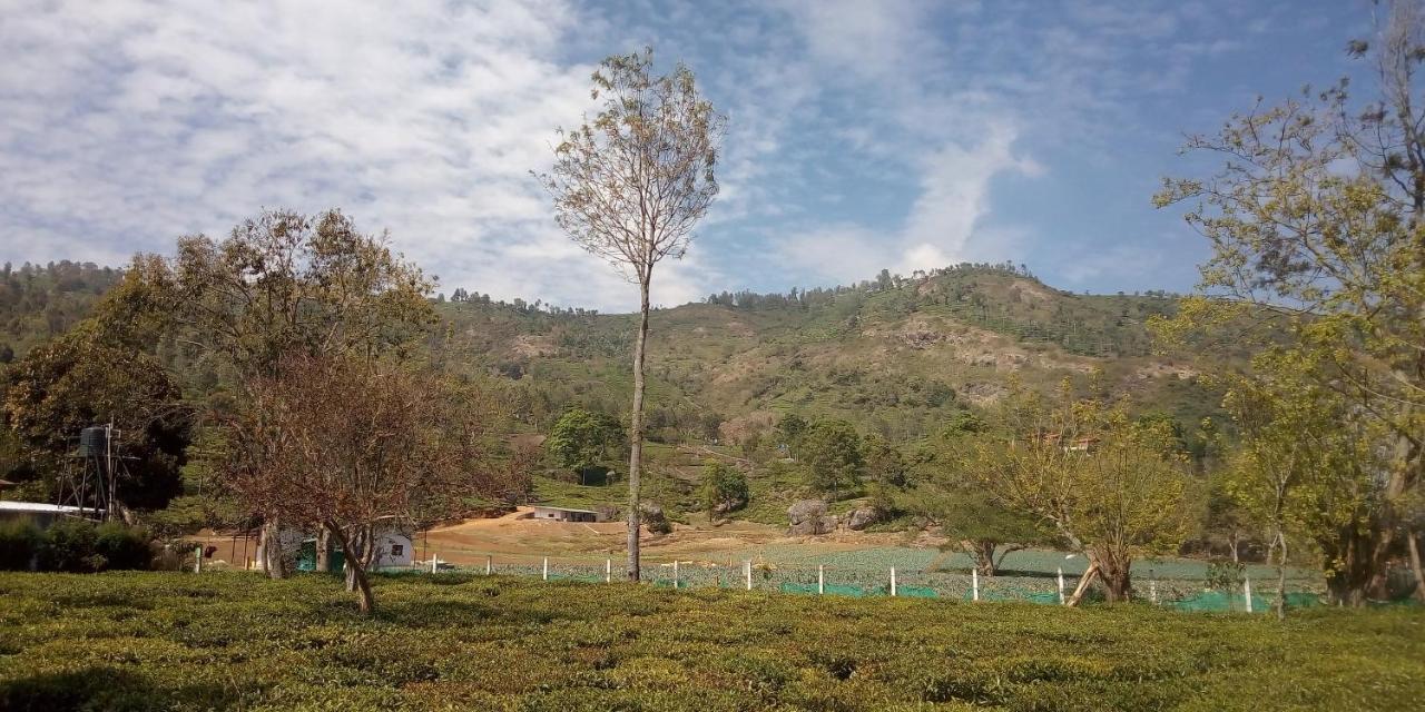 The Laughing Woods Ac Resort Kotagiri Εξωτερικό φωτογραφία